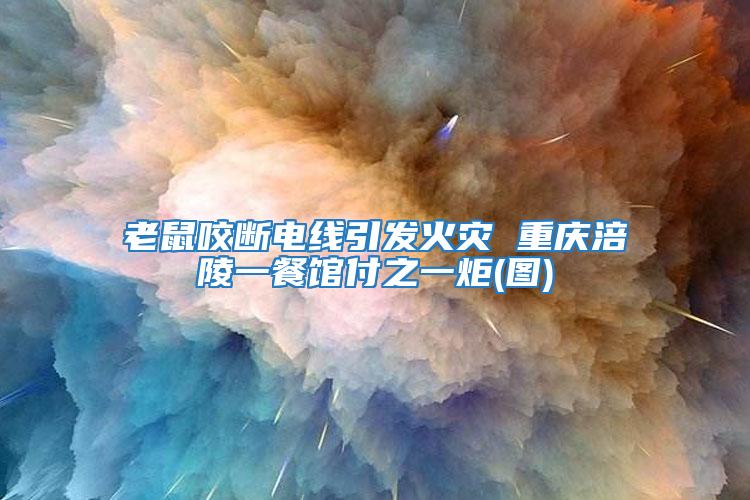 老鼠咬斷電線引發火災 重慶涪陵一餐館付之一炬(圖)