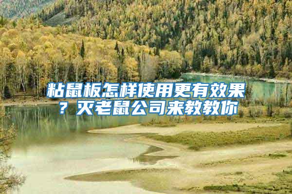 粘鼠板怎樣使用更有效果？滅老鼠公司來教教你