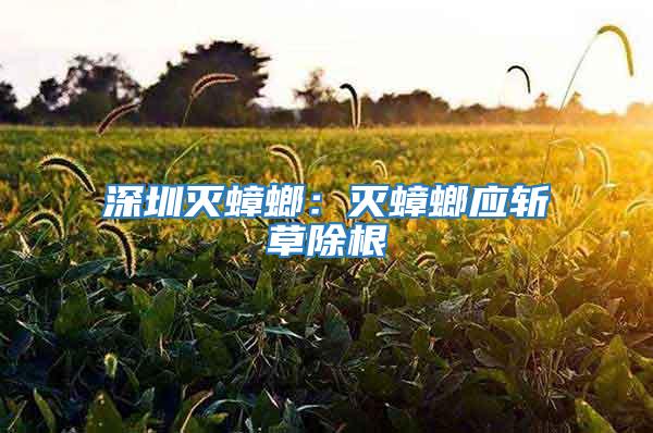 深圳滅蟑螂：滅蟑螂應斬草除根