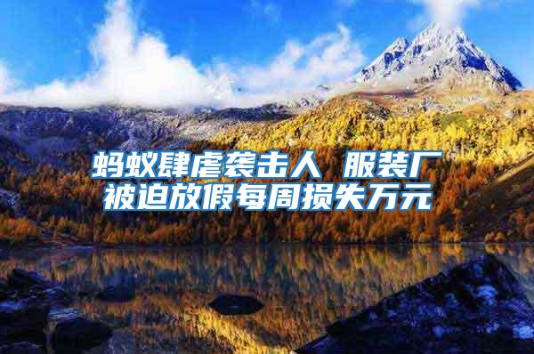 螞蟻肆虐襲擊人 服裝廠被迫放假每周損失萬元