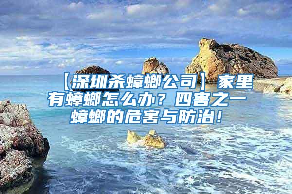 【深圳殺蟑螂公司】家里有蟑螂怎么辦？四害之一蟑螂的危害與防治！