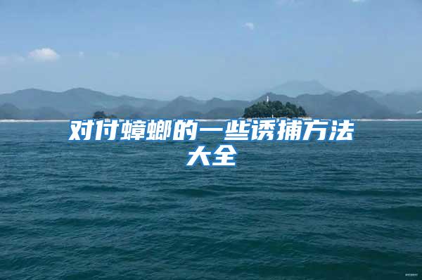 對(duì)付蟑螂的一些誘捕方法大全
