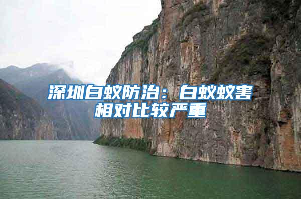 深圳白蟻防治：白蟻蟻害相對比較嚴重