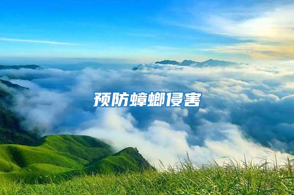 預(yù)防蟑螂侵害