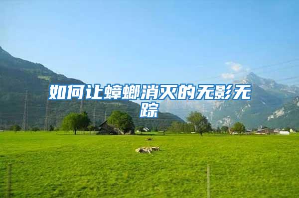 如何讓蟑螂消滅的無影無蹤