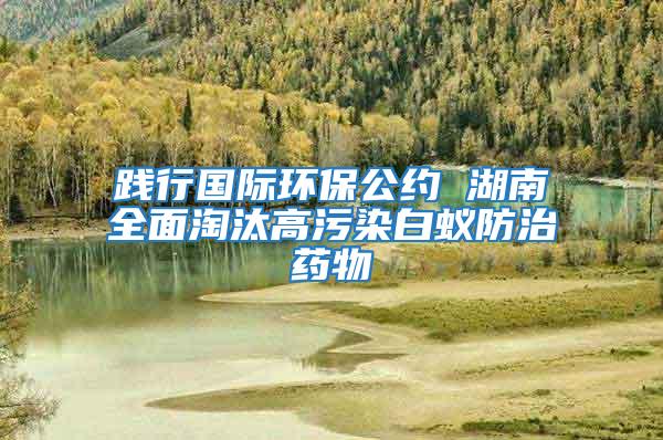 踐行國(guó)際環(huán)保公約 湖南全面淘汰高污染白蟻防治藥物