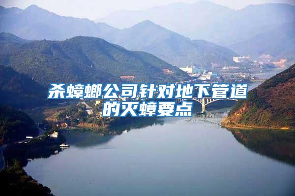 殺蟑螂公司針對地下管道的滅蟑要點