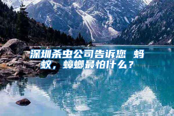 深圳殺蟲公司告訴您 螞蟻，蟑螂最怕什么？
