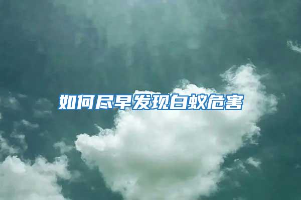 如何盡早發現白蟻危害