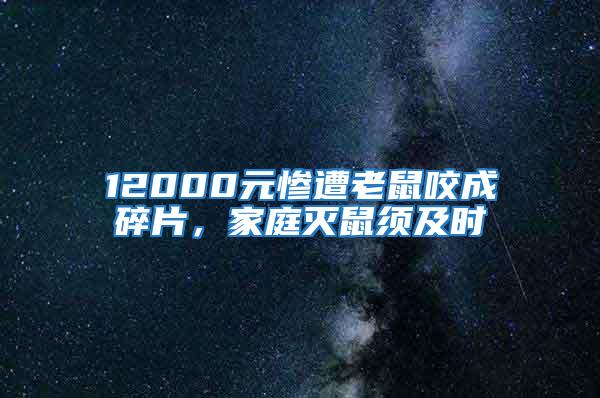 12000元慘遭老鼠咬成碎片，家庭滅鼠須及時(shí)