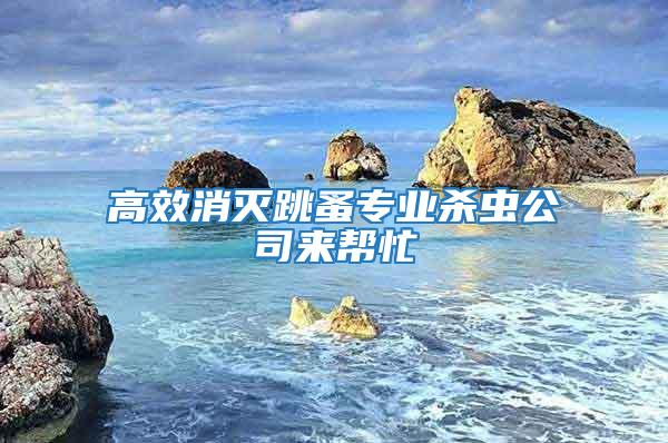 高效消滅跳蚤專業殺蟲公司來幫忙