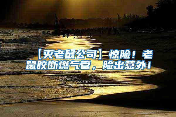 【滅老鼠公司】驚險！老鼠咬斷燃氣管，險出意外！