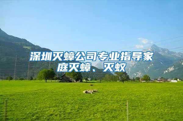 深圳滅蟑公司專(zhuān)業(yè)指導(dǎo)家庭滅蟑、滅蟻