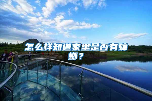 怎么樣知道家里是否有蟑螂？
