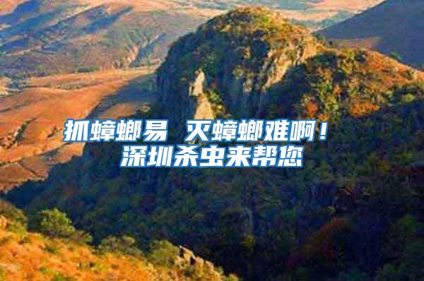 抓蟑螂易 滅蟑螂難啊！ 深圳殺蟲來(lái)幫您