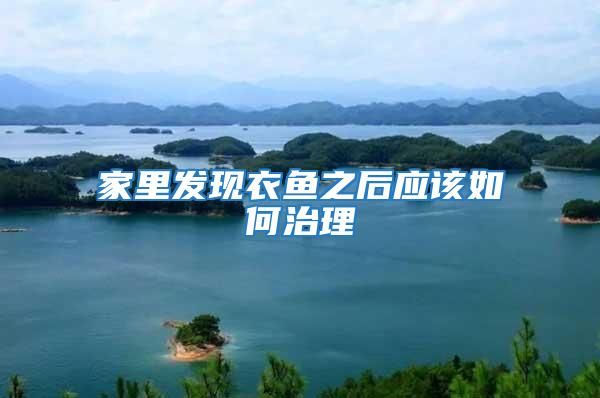 家里發現衣魚之后應該如何治理