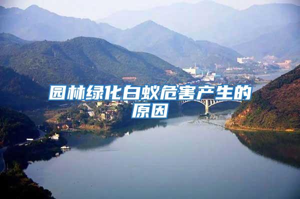 園林綠化白蟻危害產生的原因