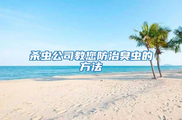 殺蟲公司教您防治臭蟲的方法