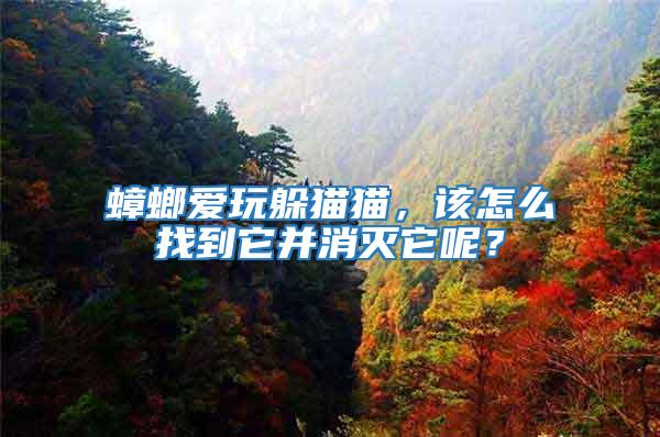 蟑螂愛玩躲貓貓，該怎么找到它并消滅它呢？