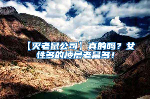 【滅老鼠公司】真的嗎？女性多的樓層老鼠多！