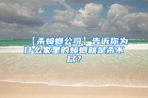 【殺蟑螂公司】告訴你為什么家里的蟑螂就是殺不盡？