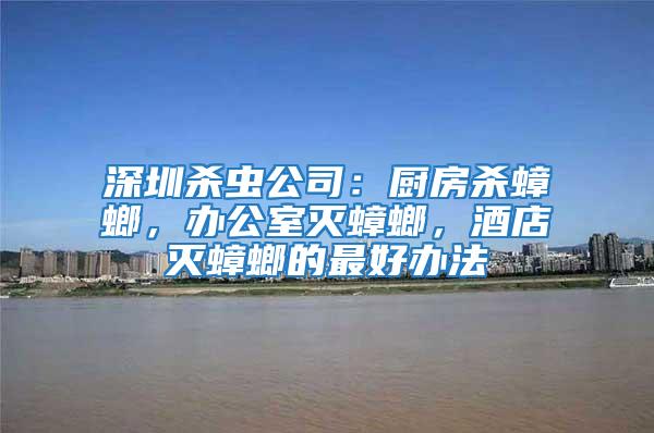 深圳殺蟲公司：廚房殺蟑螂，辦公室滅蟑螂，酒店滅蟑螂的最好辦法