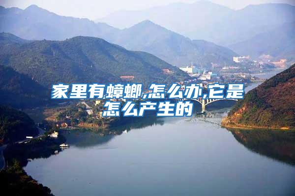家里有蟑螂,怎么辦,它是怎么產生的