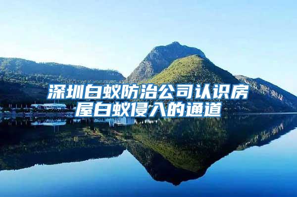 深圳白蟻防治公司認識房屋白蟻侵入的通道