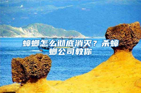 蟑螂怎么徹底消滅？殺蟑螂公司教你