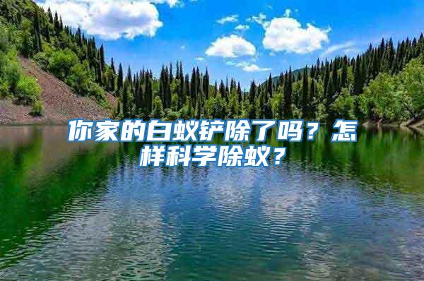 你家的白蟻鏟除了嗎？怎樣科學除蟻？