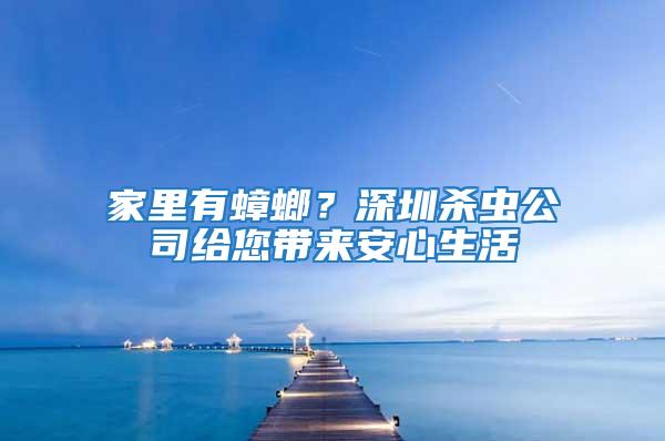 家里有蟑螂？深圳殺蟲公司給您帶來安心生活