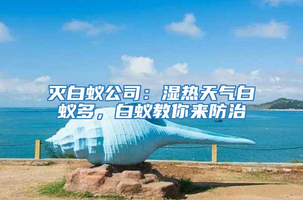 滅白蟻公司：濕熱天氣白蟻多，白蟻教你來防治