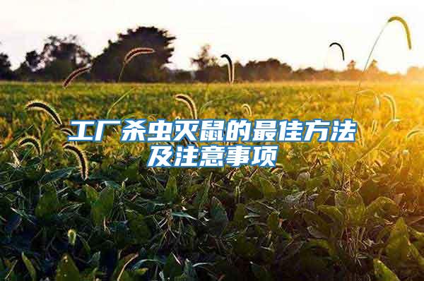 工廠殺蟲滅鼠的最佳方法及注意事項