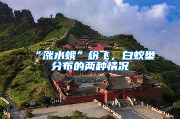 “漲水蛾”紛飛，白蟻巢分布的兩種情況