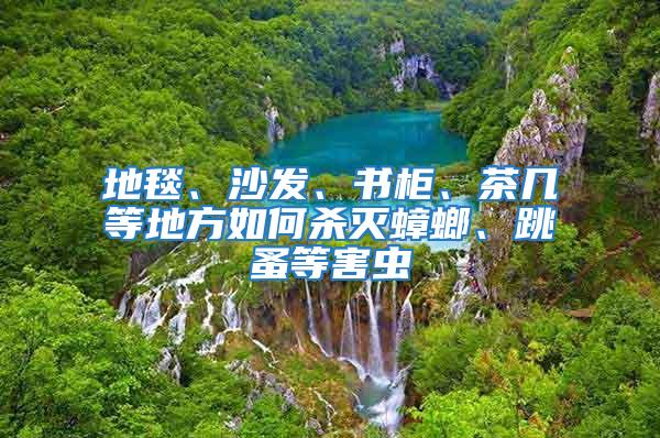 地毯、沙發(fā)、書柜、茶幾等地方如何殺滅蟑螂、跳蚤等害蟲