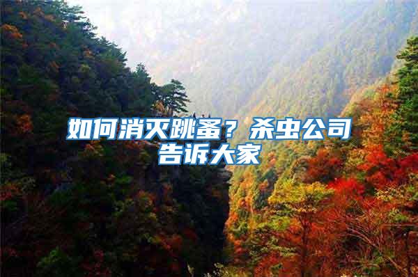如何消滅跳蚤？殺蟲公司告訴大家