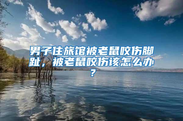 男子住旅館被老鼠咬傷腳趾，被老鼠咬傷該怎么辦？