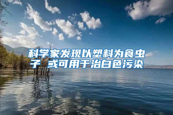 科學家發現以塑料為食蟲子 或可用于治白色污染