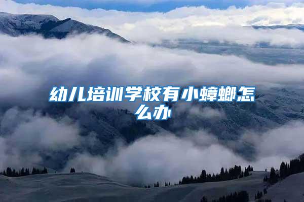 幼兒培訓學校有小蟑螂怎么辦