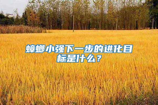 蟑螂小強下一步的進化目標是什么？