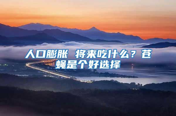 人口膨脹 將來吃什么？蒼蠅是個好選擇