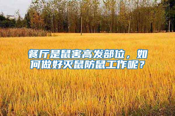 餐廳是鼠害高發部位，如何做好滅鼠防鼠工作呢？