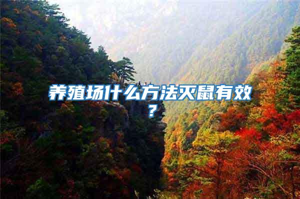 養殖場什么方法滅鼠有效？
