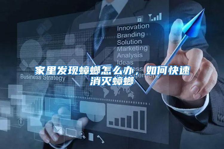 家里發現蟑螂怎么辦，如何快速消滅蟑螂