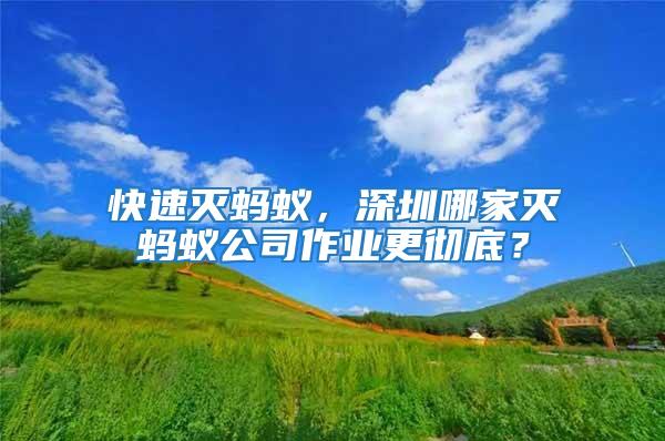 快速滅螞蟻，深圳哪家滅螞蟻公司作業(yè)更徹底？