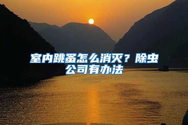 室內跳蚤怎么消滅？除蟲公司有辦法