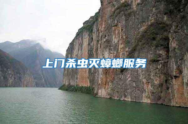 上門(mén)殺蟲(chóng)滅蟑螂服務(wù)