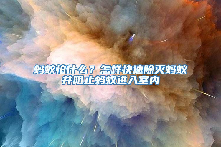 螞蟻怕什么？怎樣快速除滅螞蟻并阻止螞蟻進入室內