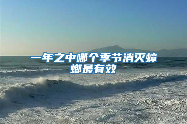 一年之中哪個季節消滅蟑螂最有效
