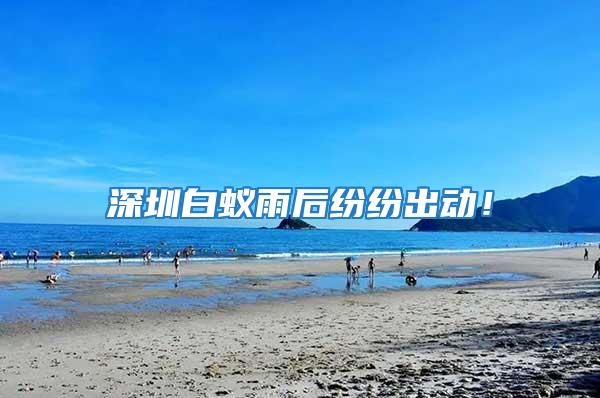 深圳白蟻雨后紛紛出動！